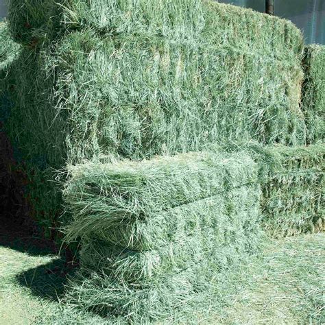 To have your hay tested and added to this list, call 800-248-4628. . Grass hay for sale near me
